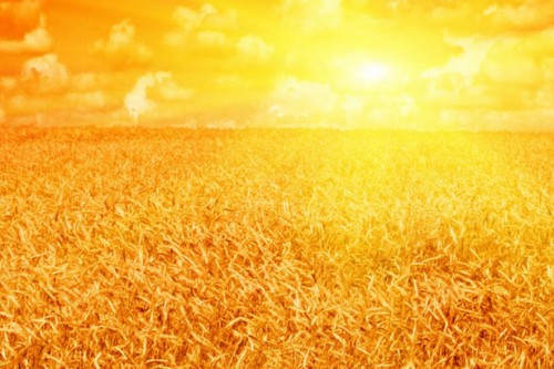 五行属金适合做什么行业